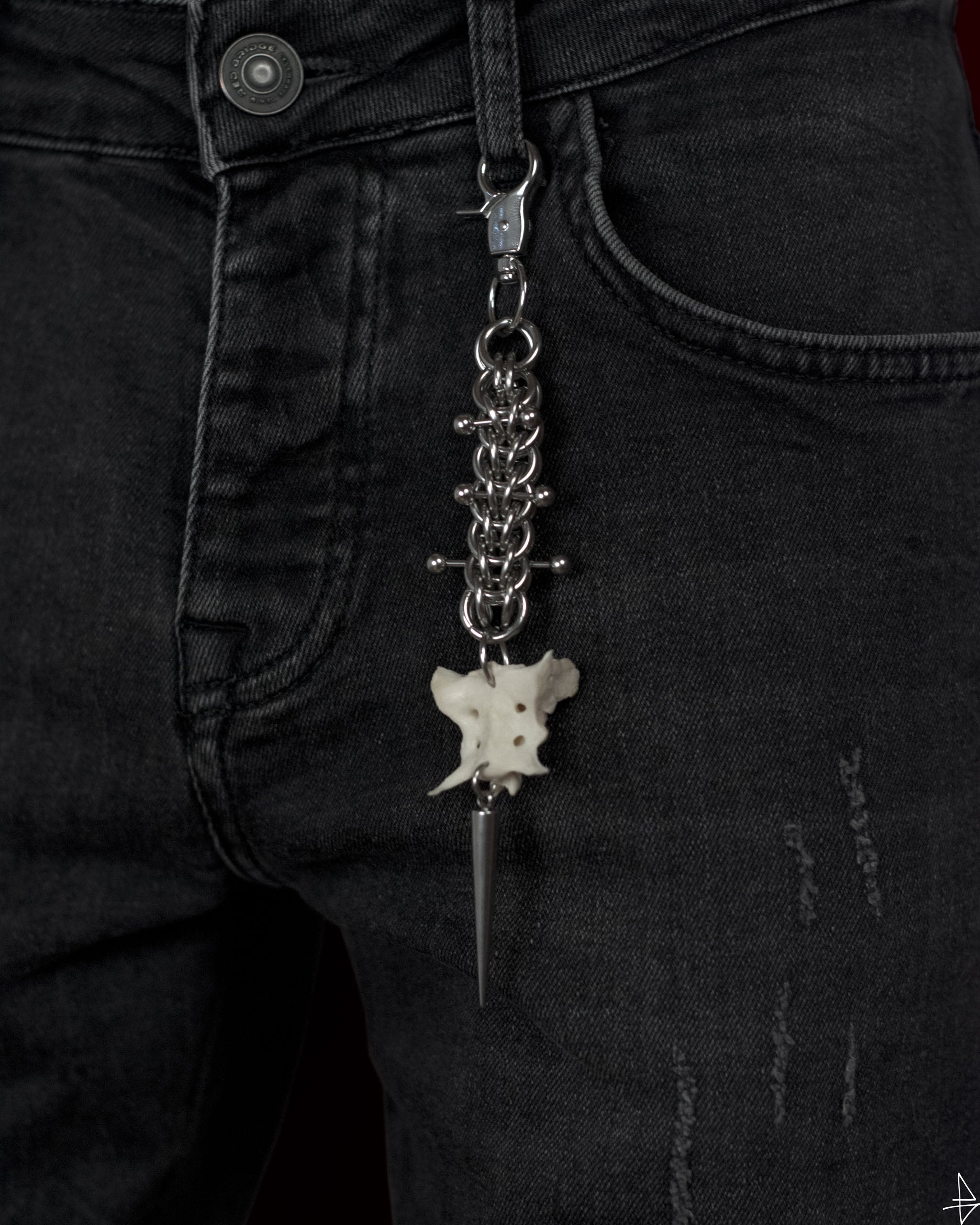 Fragment belette
